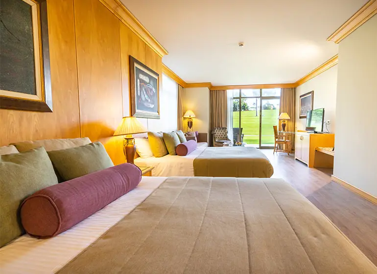 Deluxe Suite