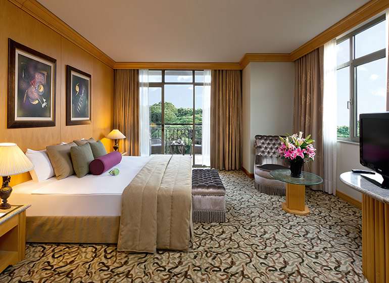 King Suite 2